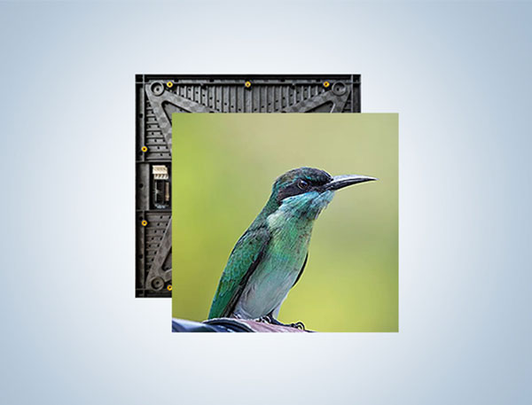 室內全彩租賃標準系列